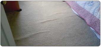 Carpet Stretching agoura hills