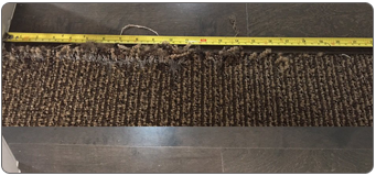 Pet Damaged agoura hills