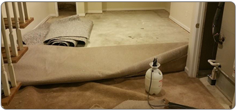 Water Damaged agoura hills